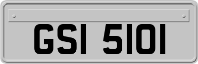 GSI5101