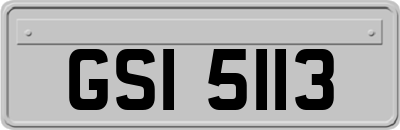 GSI5113