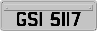 GSI5117