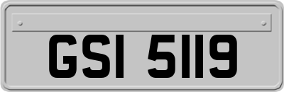GSI5119