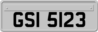 GSI5123