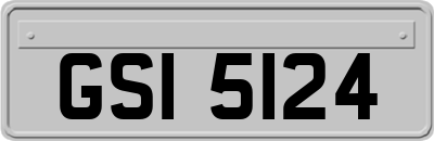GSI5124