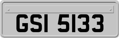 GSI5133