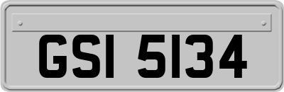 GSI5134