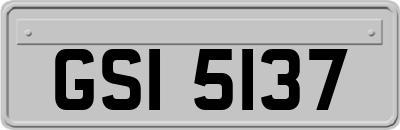 GSI5137