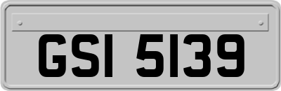 GSI5139