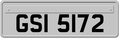 GSI5172