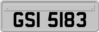 GSI5183