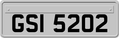 GSI5202