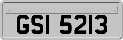 GSI5213