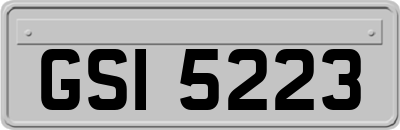 GSI5223
