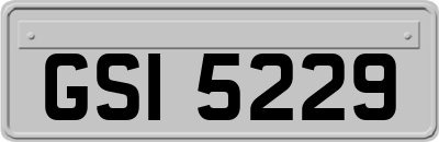 GSI5229