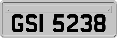 GSI5238
