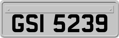 GSI5239