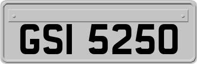 GSI5250