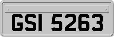 GSI5263