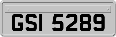 GSI5289