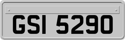 GSI5290