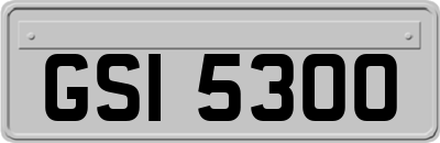 GSI5300