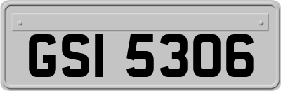 GSI5306