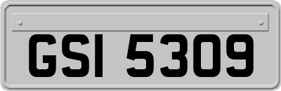 GSI5309
