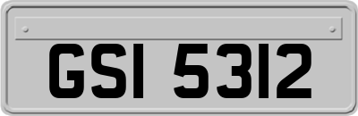 GSI5312