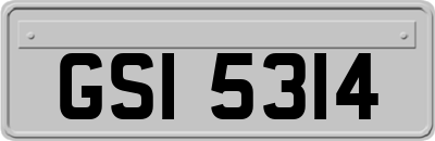 GSI5314