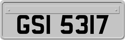 GSI5317