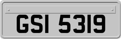 GSI5319