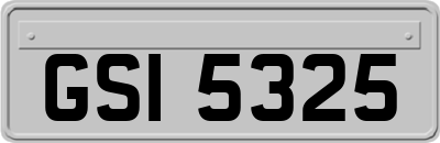 GSI5325