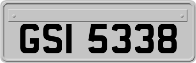GSI5338