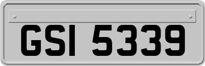 GSI5339