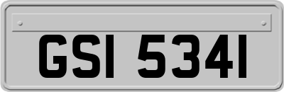 GSI5341