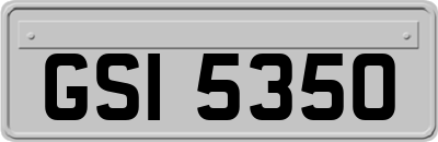GSI5350