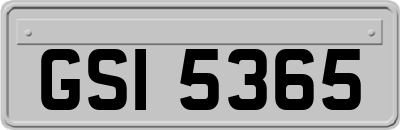 GSI5365