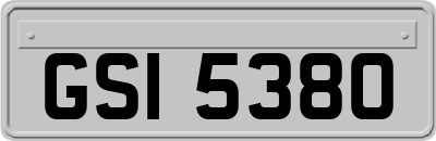 GSI5380