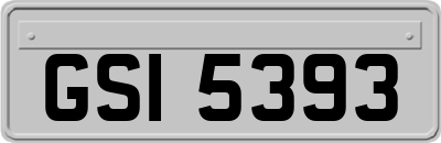 GSI5393
