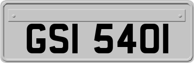 GSI5401
