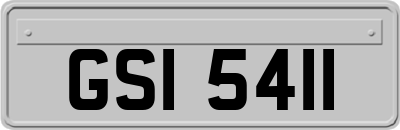 GSI5411