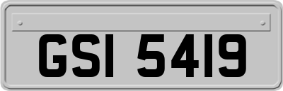 GSI5419