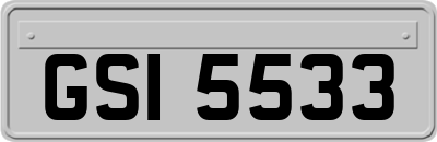 GSI5533