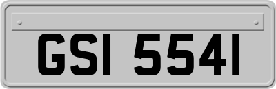 GSI5541
