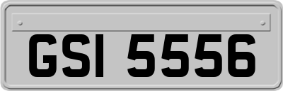 GSI5556
