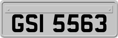 GSI5563