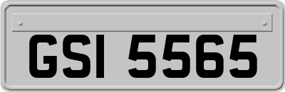 GSI5565