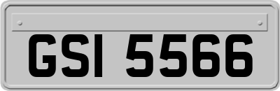 GSI5566