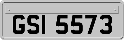 GSI5573