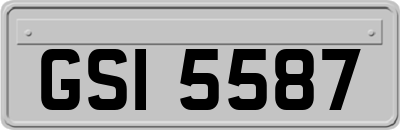 GSI5587