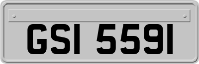 GSI5591