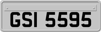 GSI5595